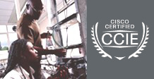 ccie grey[1]