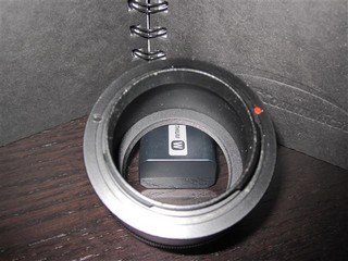 IMG_0333 (Small)