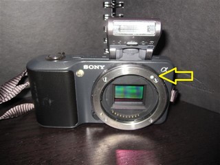 IMG_0334 (Small)