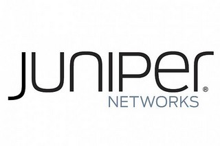 2503-juniper-_article